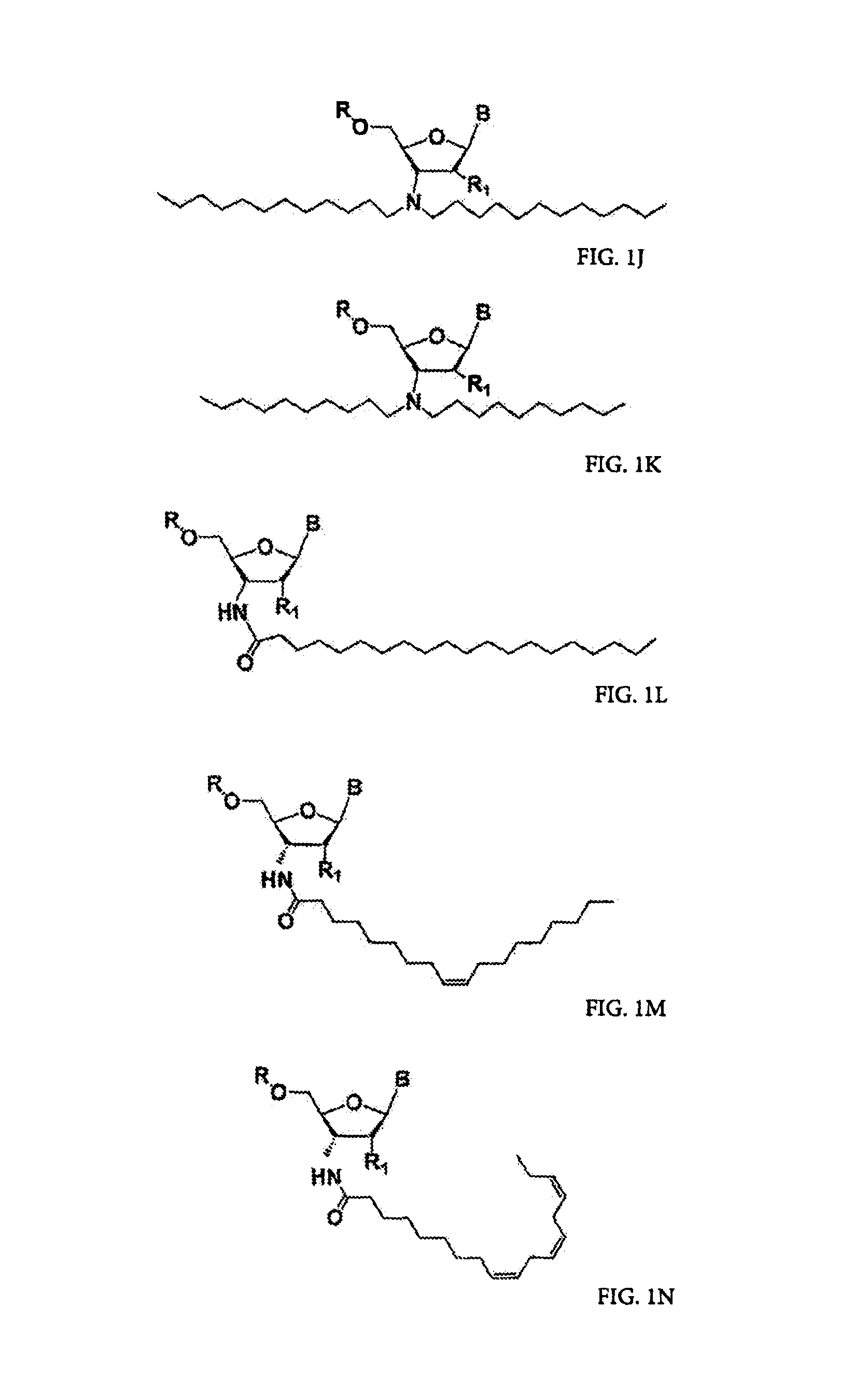 RNA amidates and thioamidates for RNAi