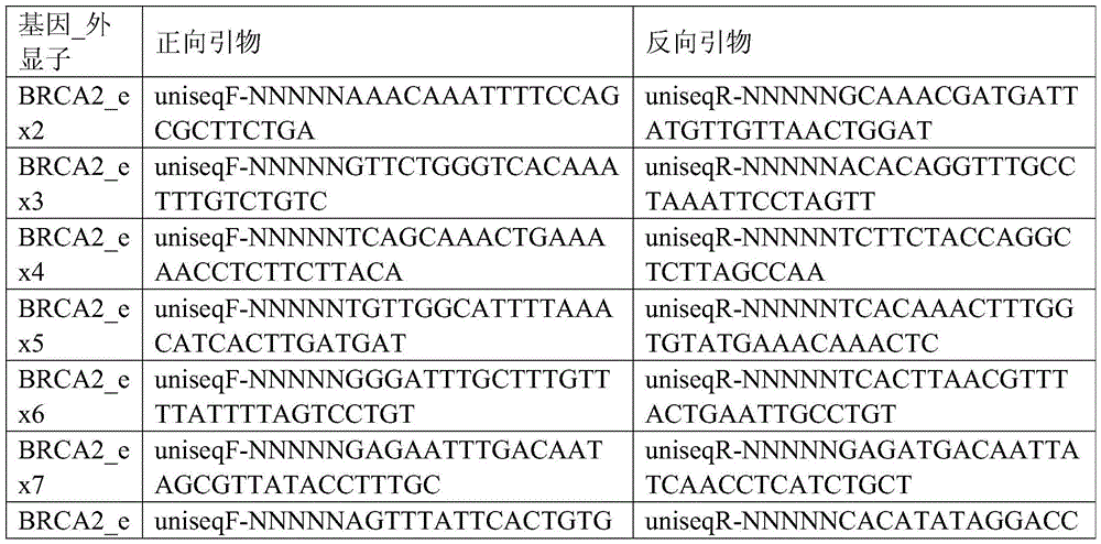 Method for detecting loss of heterozygous BRCA1/2 gene and primers adopted by method