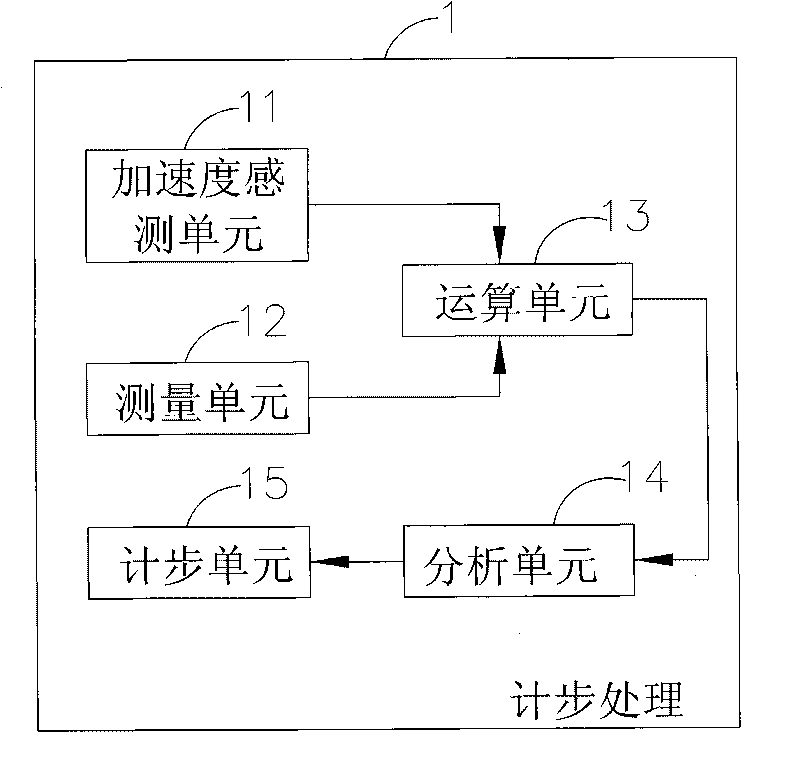 Step-counting processing system and method
