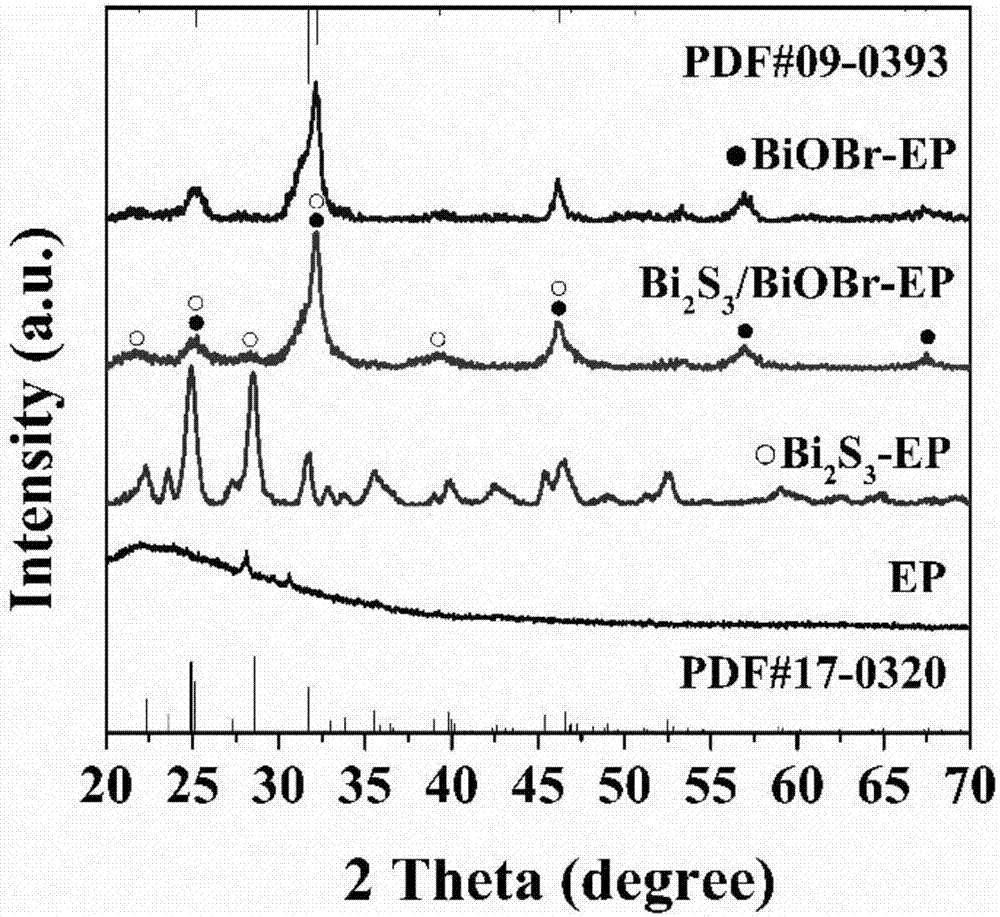 Floatable photocatalyst for inhibiting blue algae in water as well as preparation method and application of photocatalyst