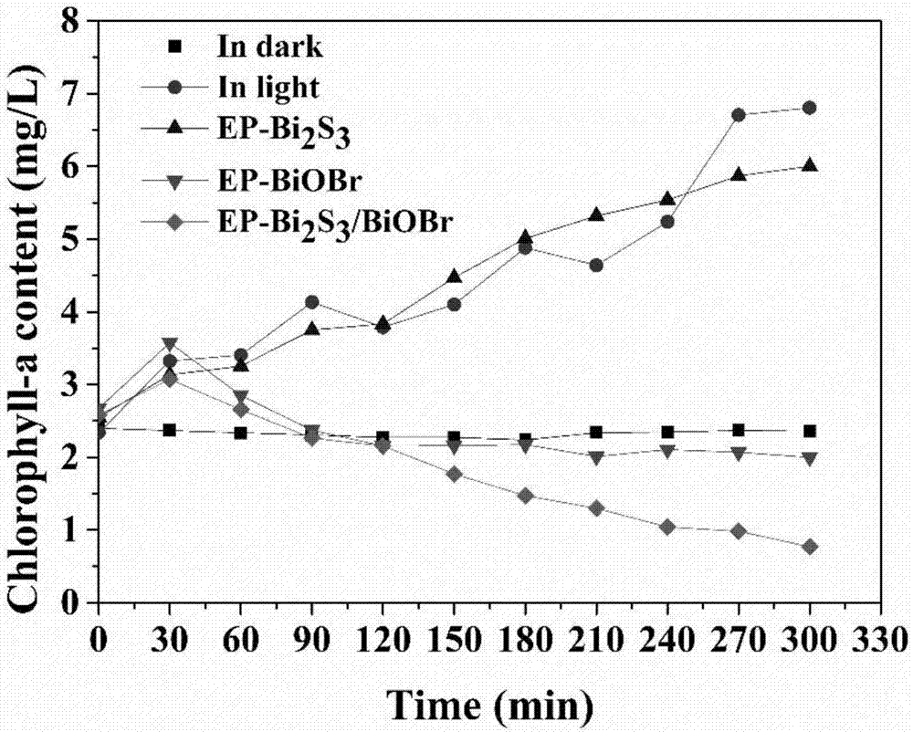 Floatable photocatalyst for inhibiting blue algae in water as well as preparation method and application of photocatalyst