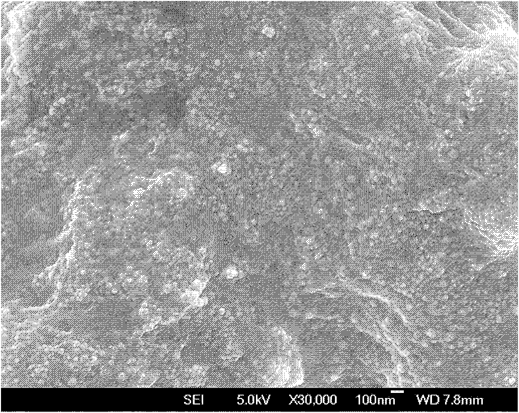 Method for synthesizing polypyrrole-chitosan-metal nanoparticle composite film on surface of cathode by one-step process