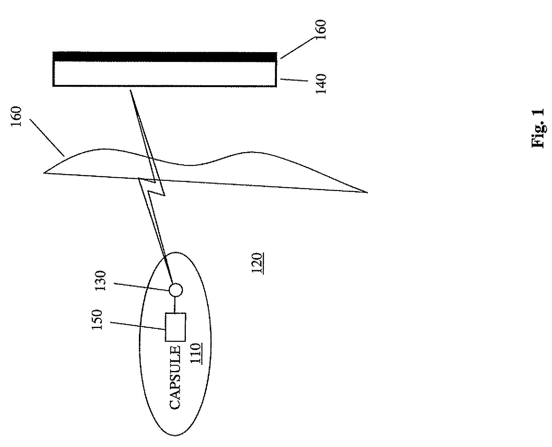 Dual polarized dipole wearable antenna
