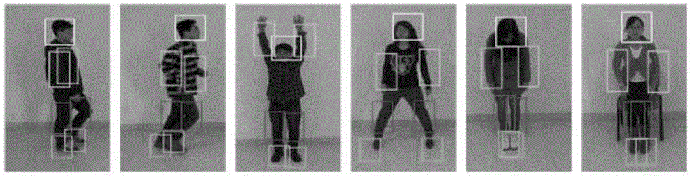 Human motion recognition method based on local features