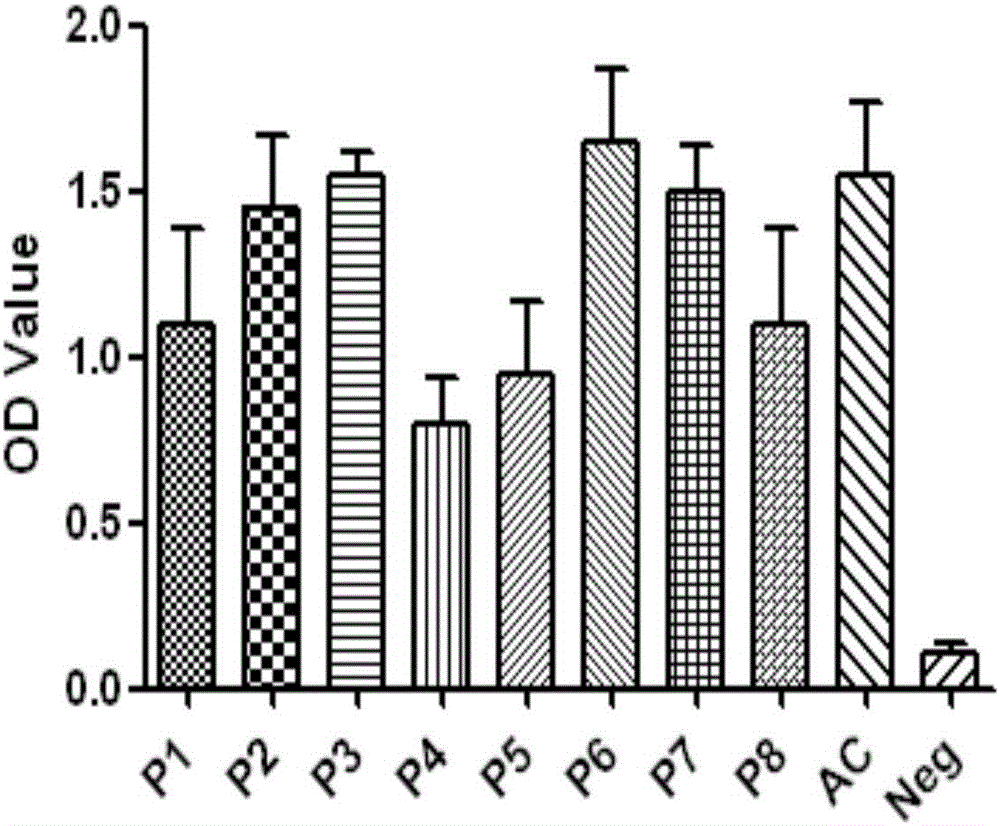 Porcine circovirus synthetic peptide vaccine and preparation method and application thereof