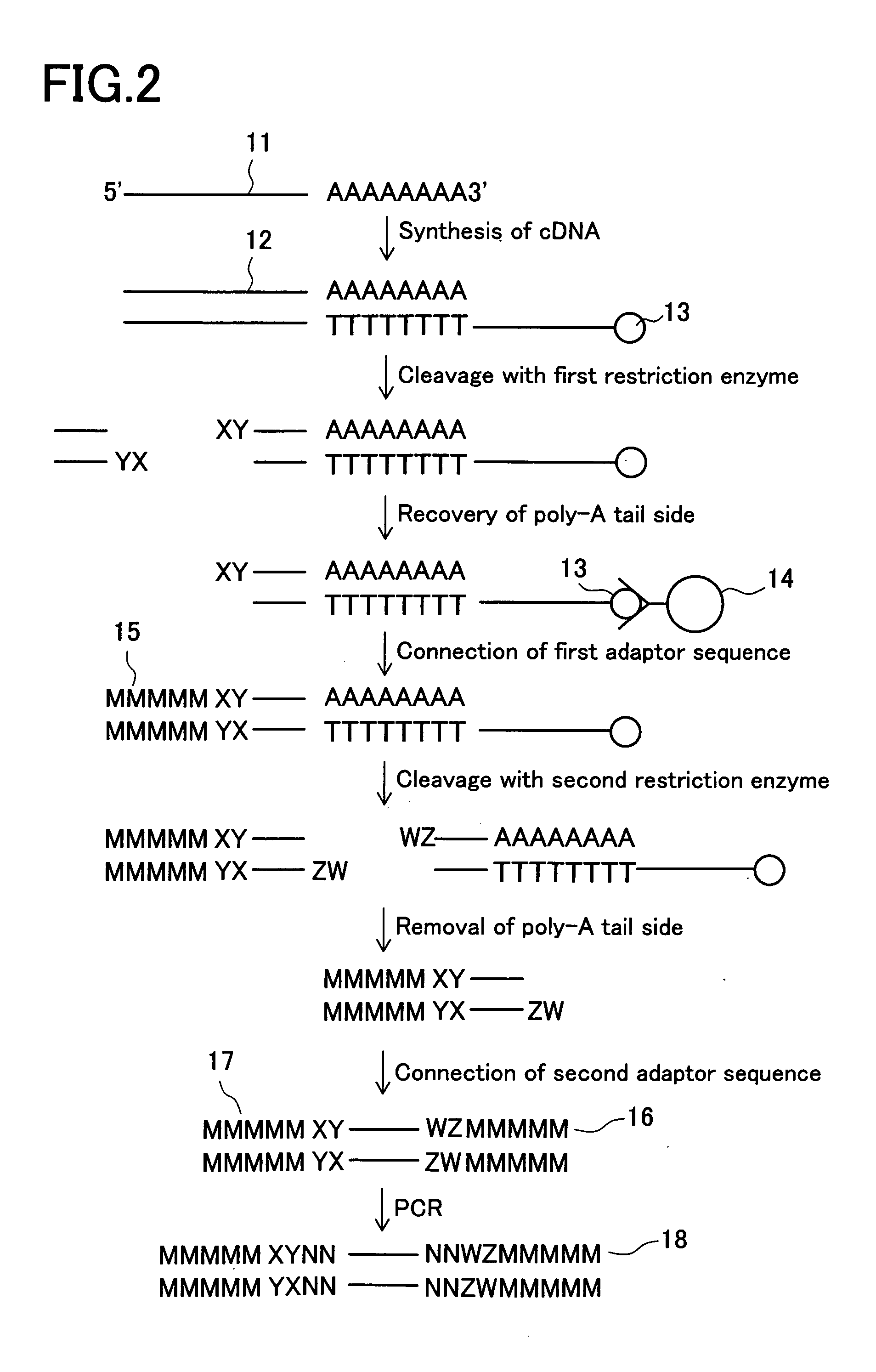 Methods for DNA recovery