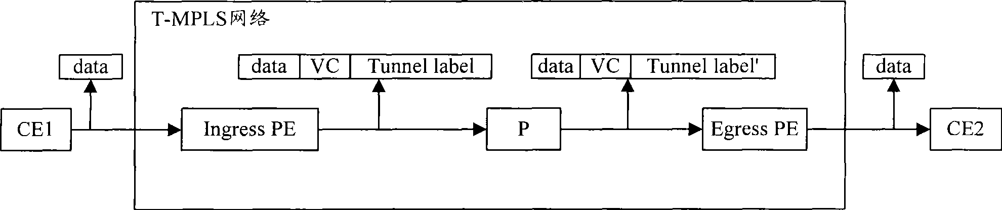 Data forwarding method and system based on T-MPLS network