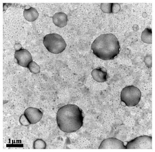 Nano-ultrasonic microbubble, as well as preparation method and application thereof