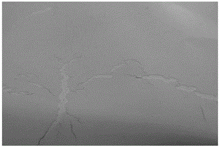 Method for coating lithium ion battery pole piece