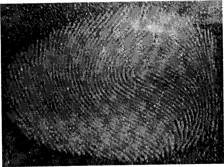 Method for using silicon dioxide and polystyrene functionalized particle in hidden fingerprint appearance