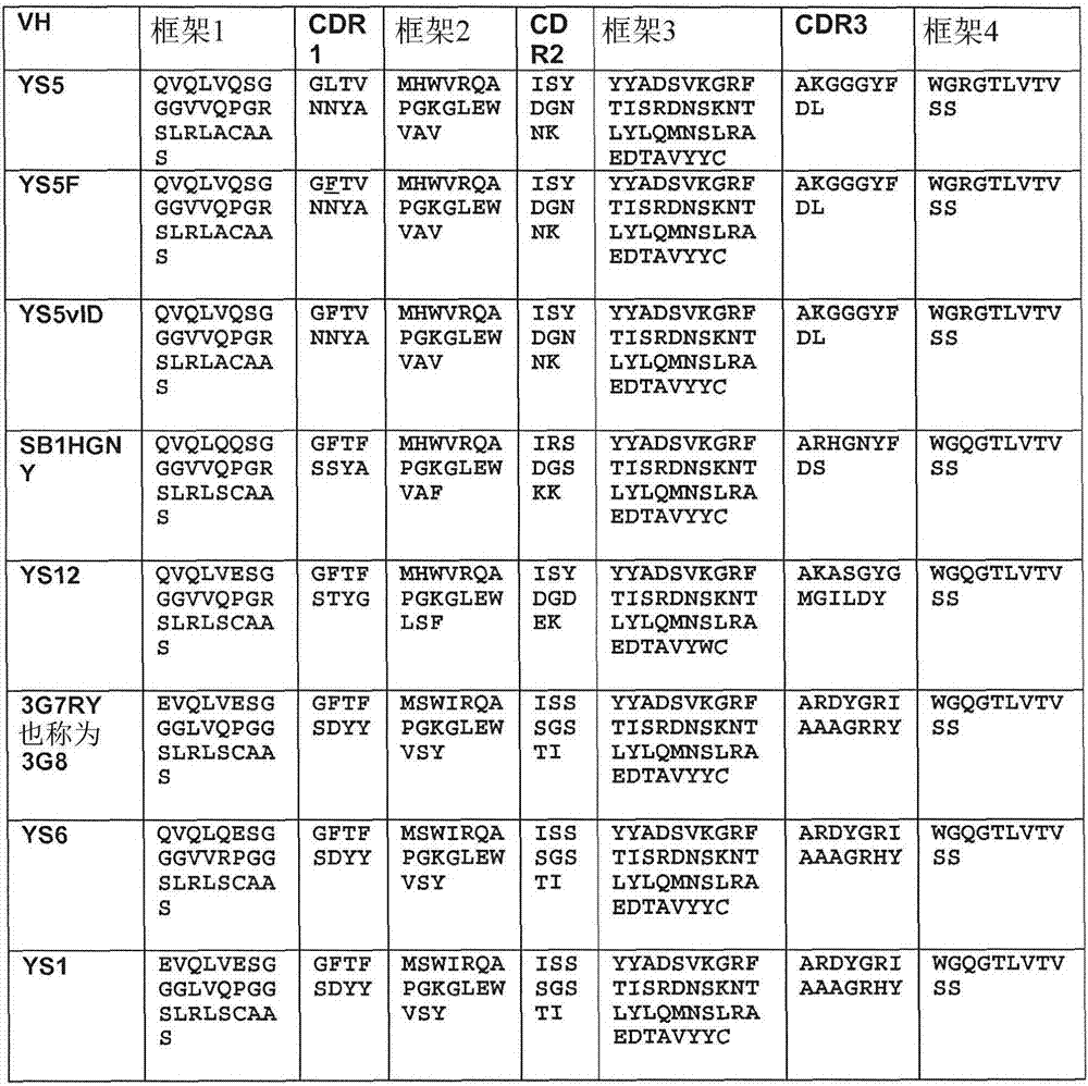 Macropinocytosing human anti-CD46 antibodies and targeted cancer therapeutics