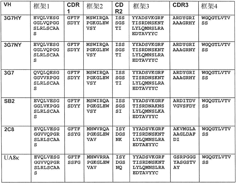 Macropinocytosing human anti-CD46 antibodies and targeted cancer therapeutics