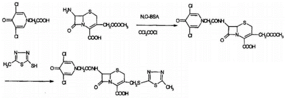 Enzymatic synthesis technology of novel cephalo-type anti-infection drug