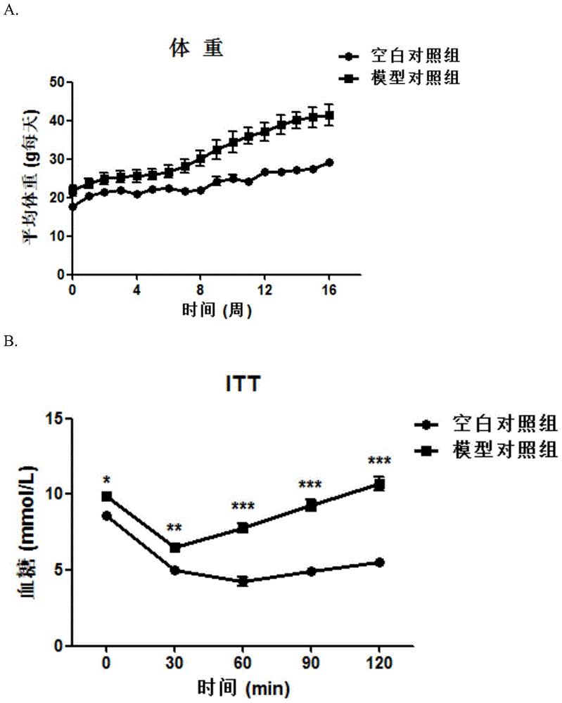 Application of triacetyl-3-hydroxyphenyl adenosine in preparing medicines for improving insulin resistance and related diseases