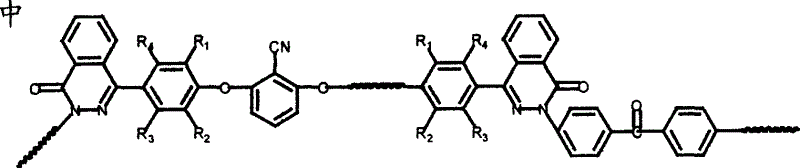 Polyether nitrile ketone containing phthalazine biphenyl structure and its preparation method