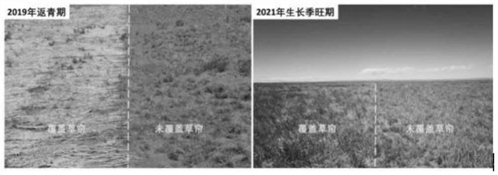 Reseeding ecological restoration method for degraded grassland