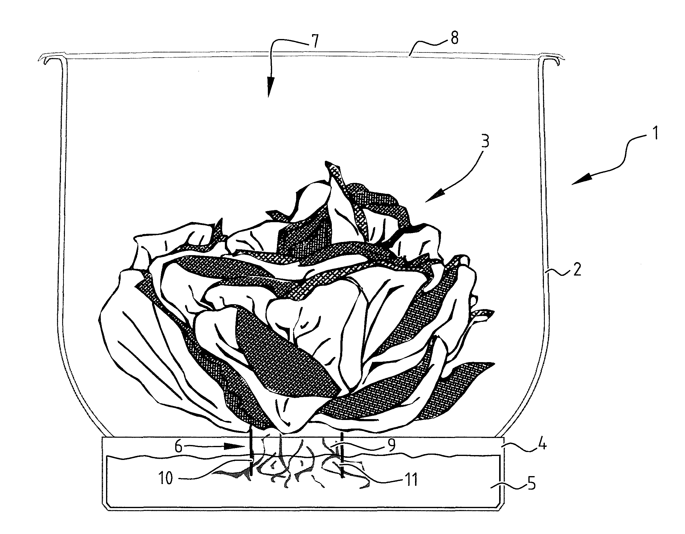 Holder for plants and a plant cultivation method