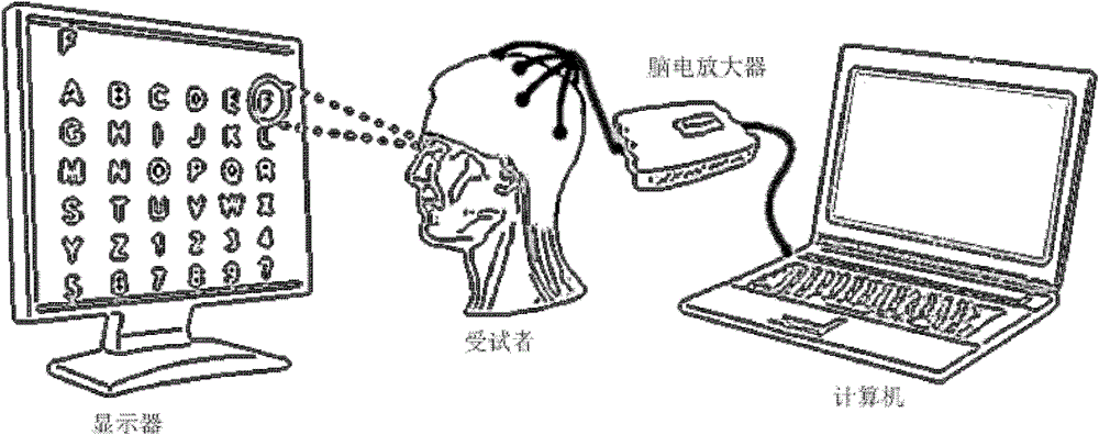 Lead optimizing method for P300 brain-computer interface