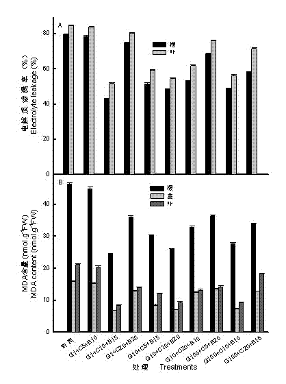 Jatropha curcas L. germination-accelerating stress tolerance seed soaking agent and preparation method thereof