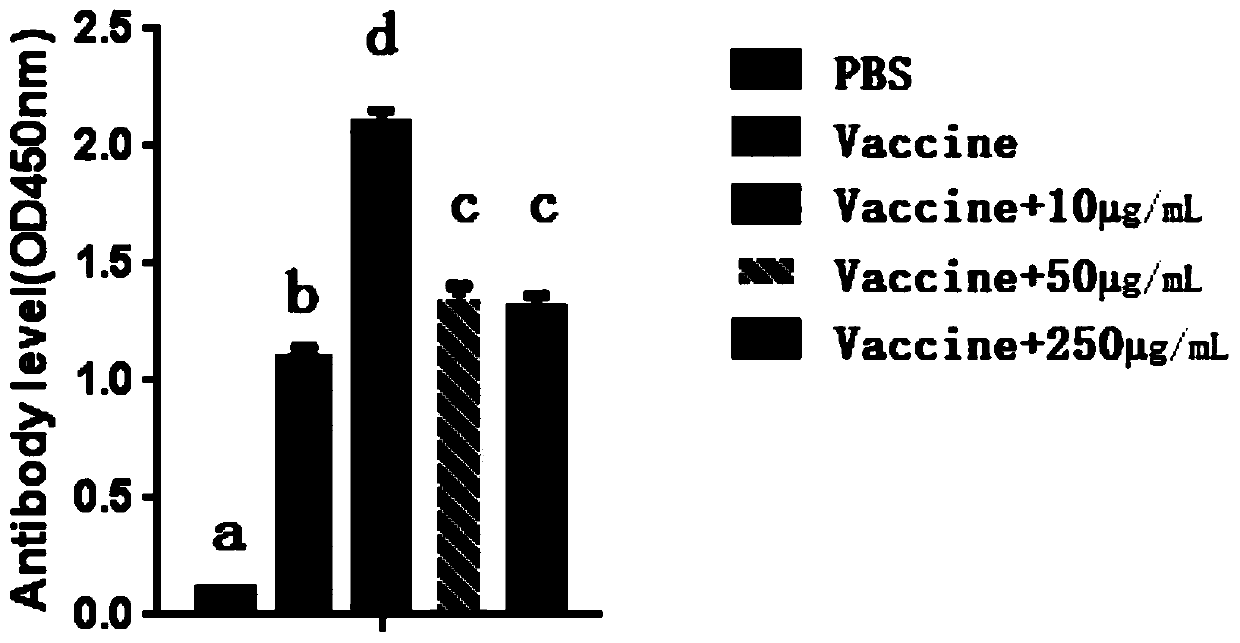 A kind of bursa active hexapeptide for promoting the immune response of bird flu and/or Newcastle disease vaccine and its application