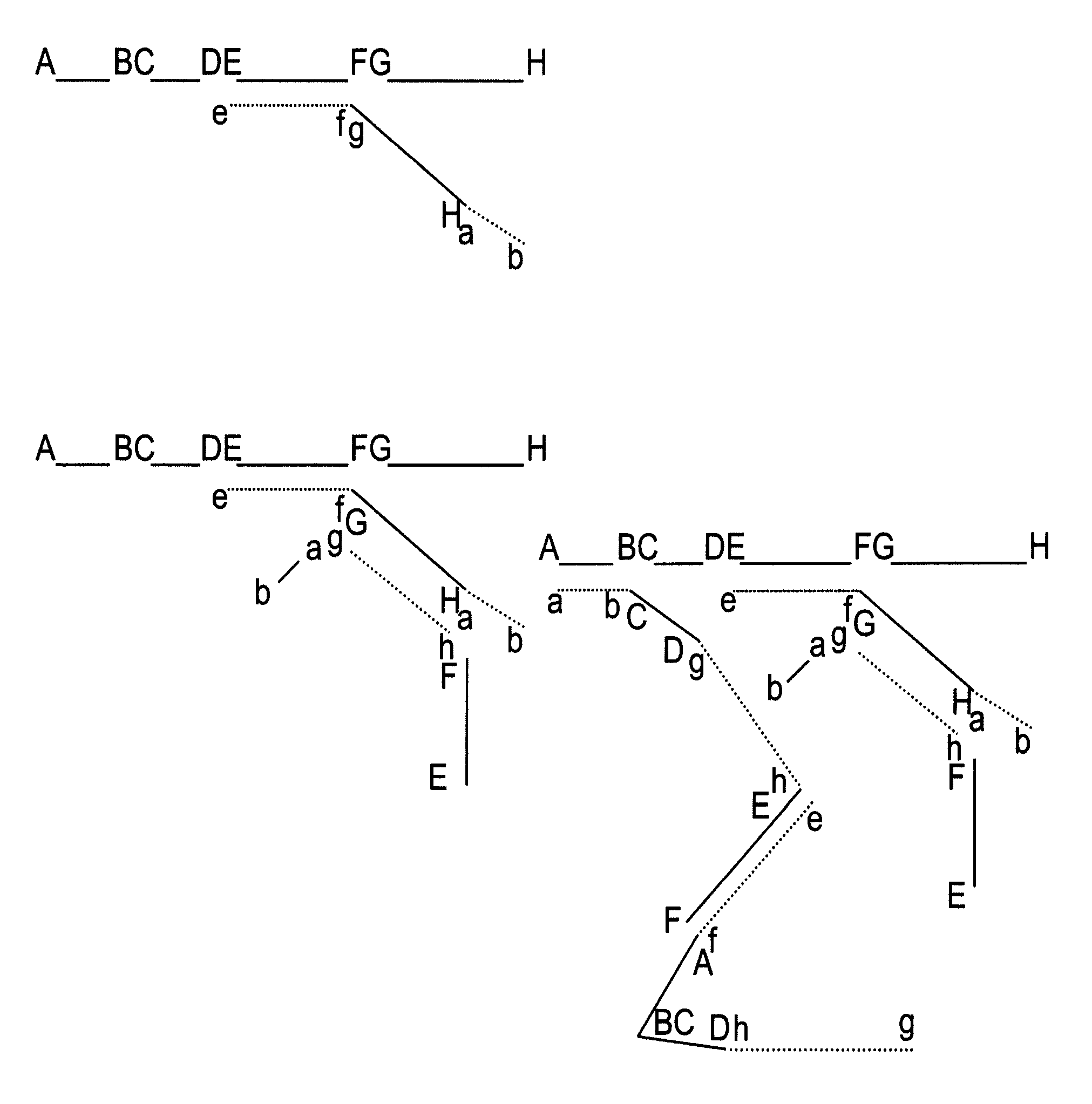 Methods for producing nucleic acid hybridization probes that amplify hybridization signal by promoting network formation