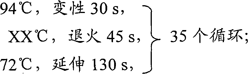 Use method of DGGE (Denatured-Gradient Gel Electrophoresis) technique