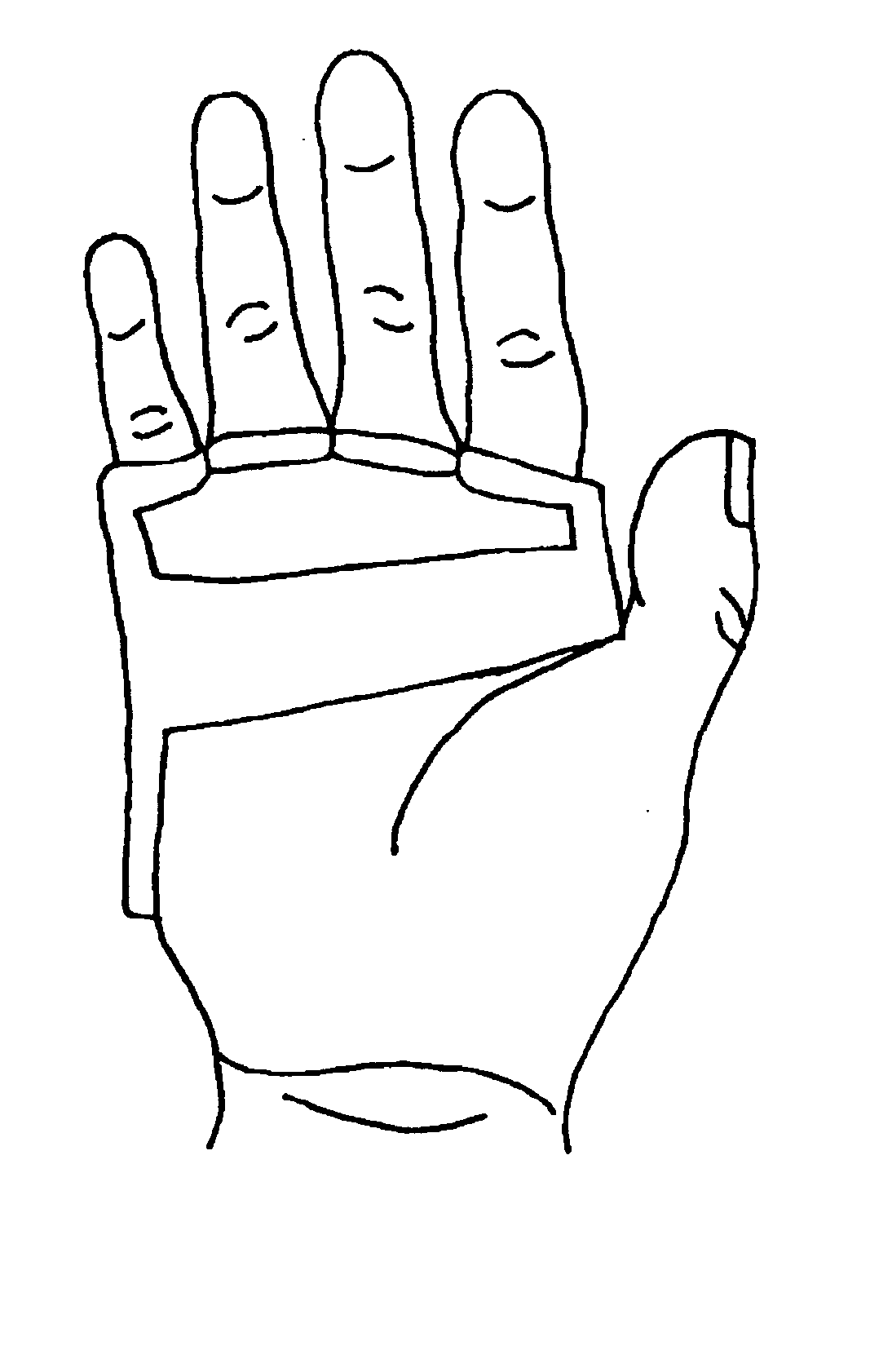 Protective hand guard