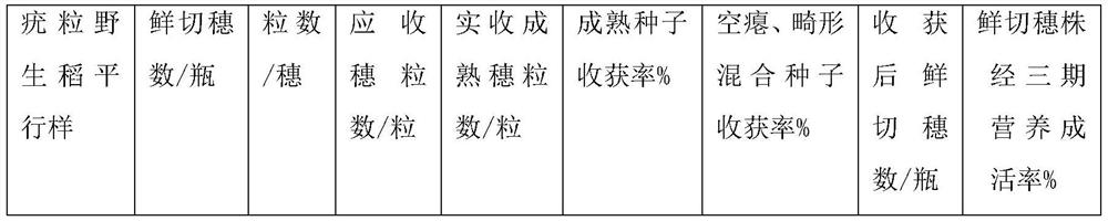 Method for carrying out nutrient culture and seed collection on wild rice by using fresh cutting method