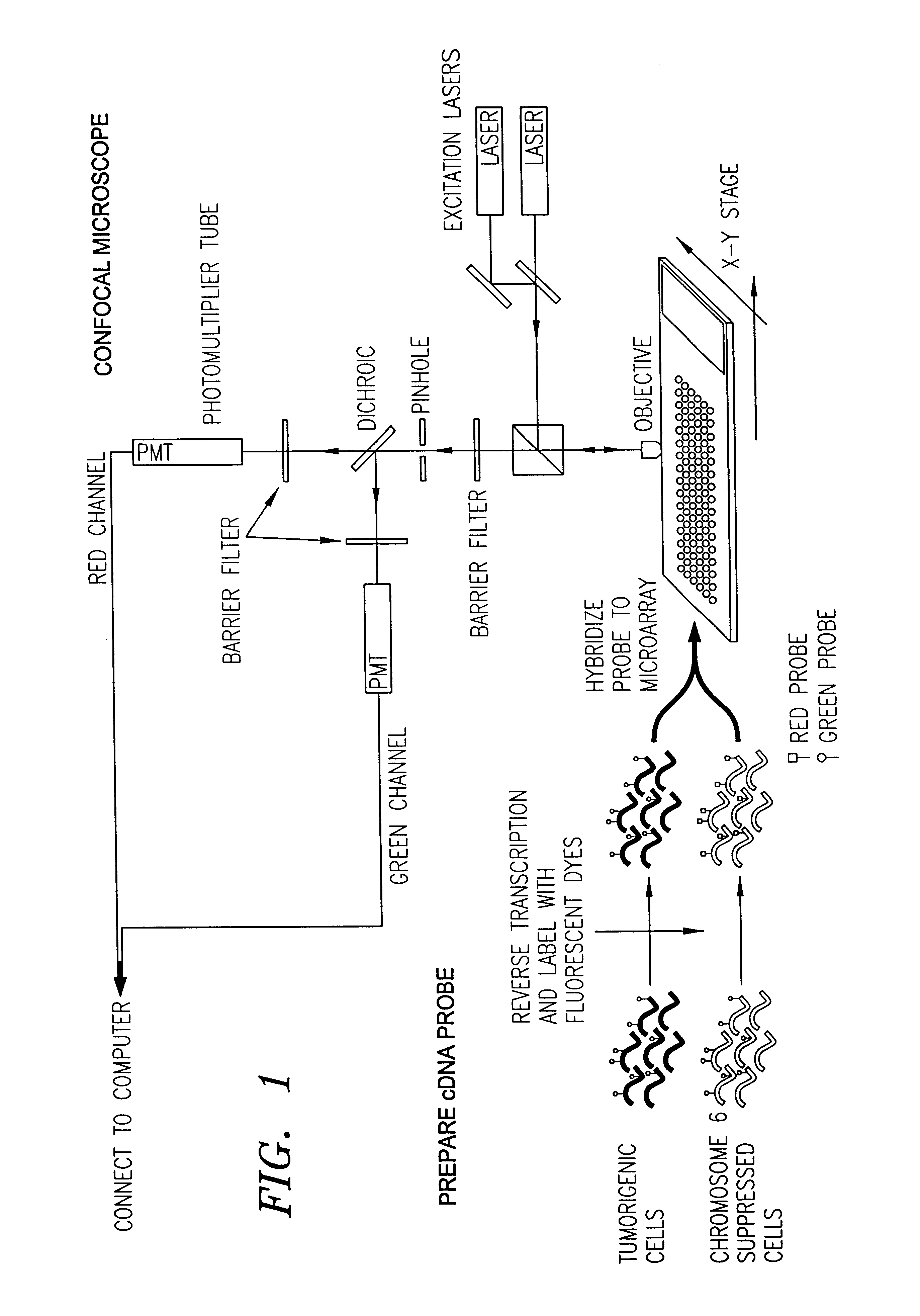 System and method for automatically identifying sub-grids in a microarray