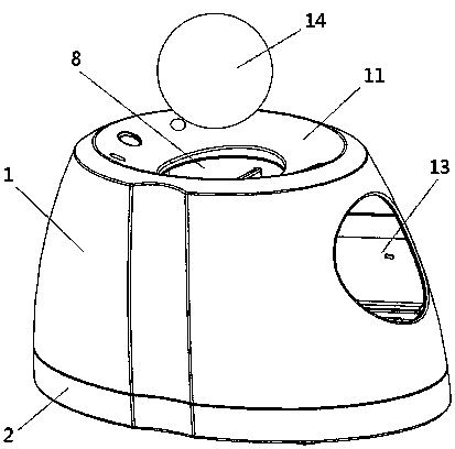 An interactive ball game automatic launching device for pets