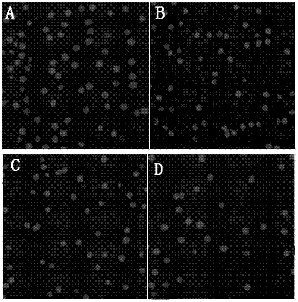 Extraction method and application of anti-tumor traditional Chinese medicine extract