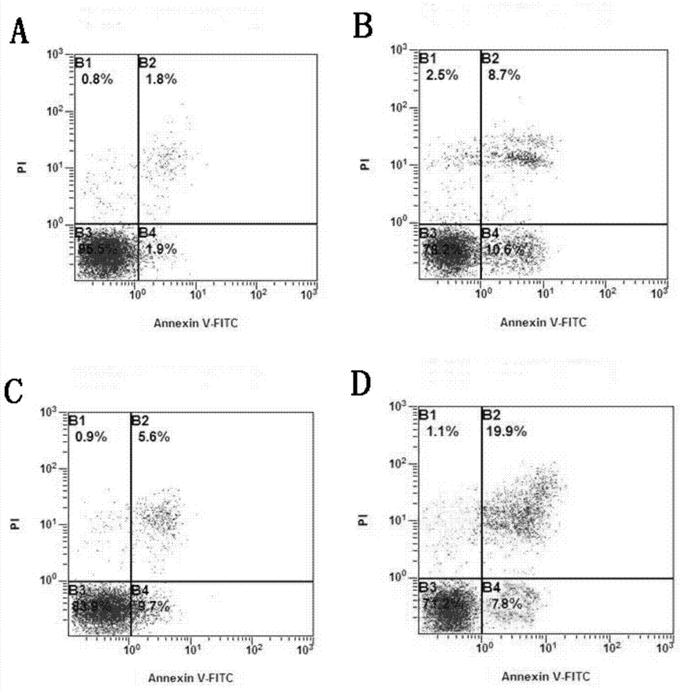 Extraction method and application of anti-tumor traditional Chinese medicine extract