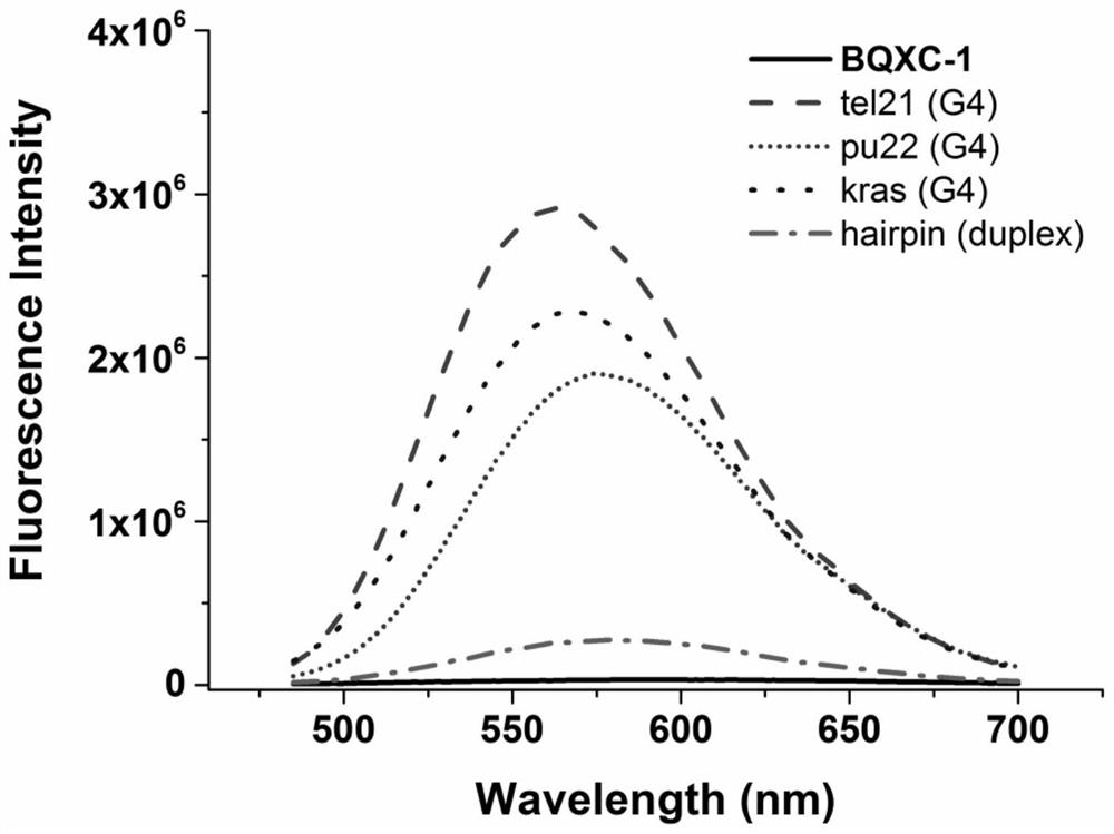 A kind of preparation method of quinoxaline fluorescent probe and its application in detecting g-quadruplex