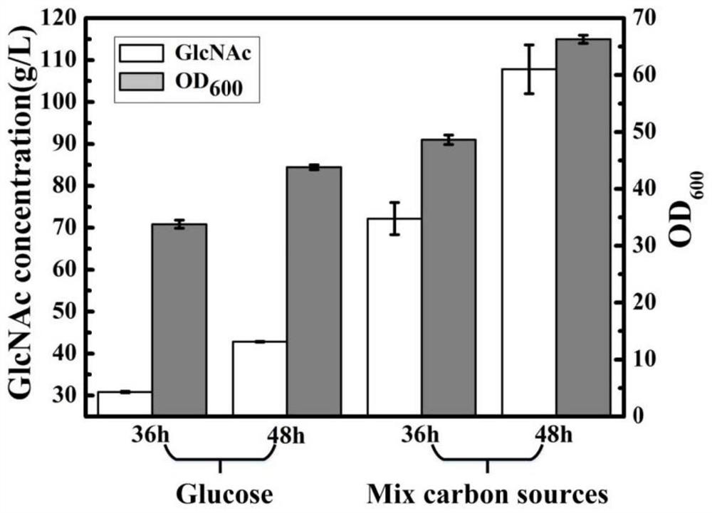 Genetically engineered bacterium for producing N-acetylglucosamine and application of genetically engineered bacterium