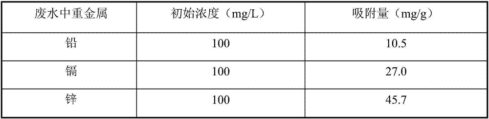 Chitosan/anhydride modified biological carbon composite and preparation method and application thereof