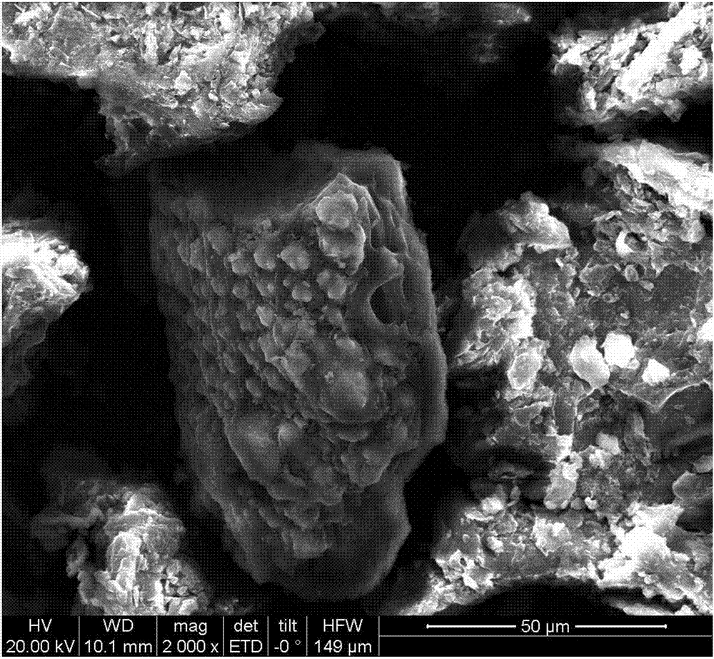 Chitosan/anhydride modified biological carbon composite and preparation method and application thereof