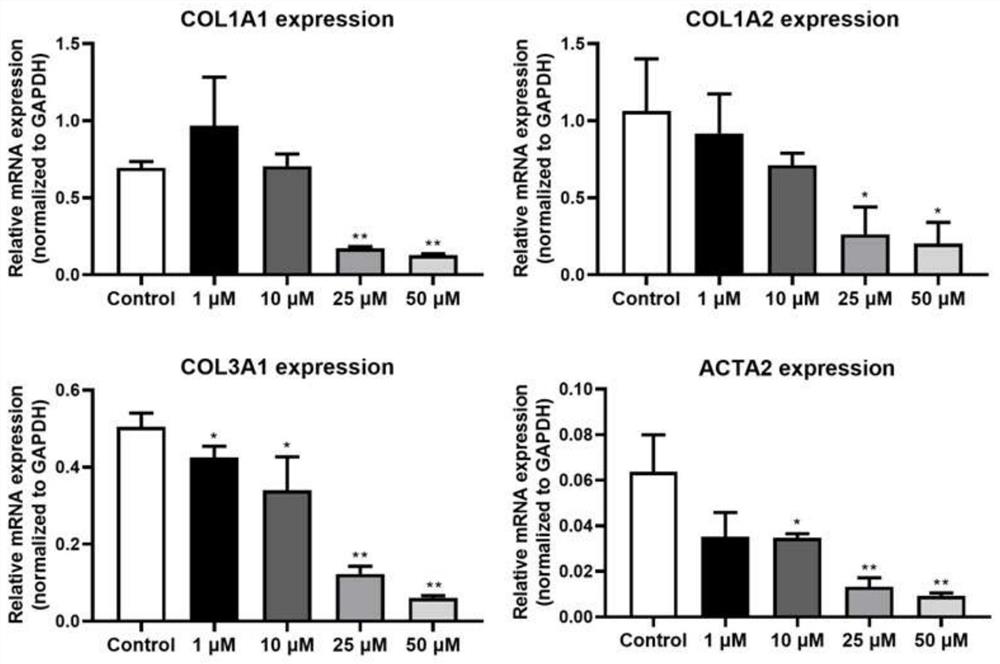 A kind of human adipose stem cell secreted polypeptide adscp2 and its application