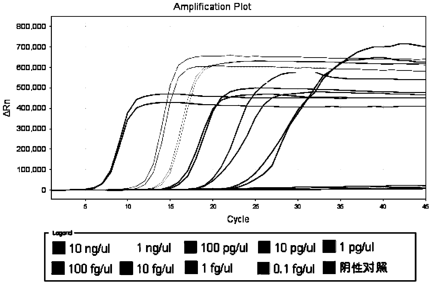 LAMP detection primer, kit and detection method for staphylococcus aureus containing internal standard