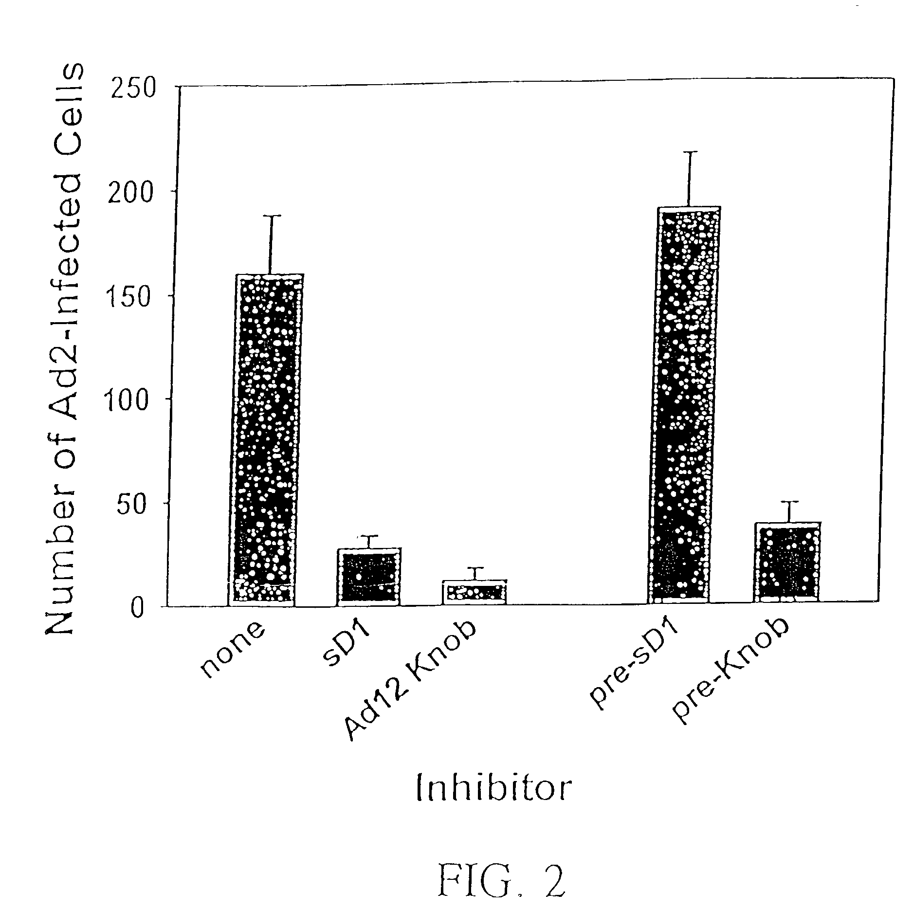 Structure of adenovirus bound to cellular receptor car