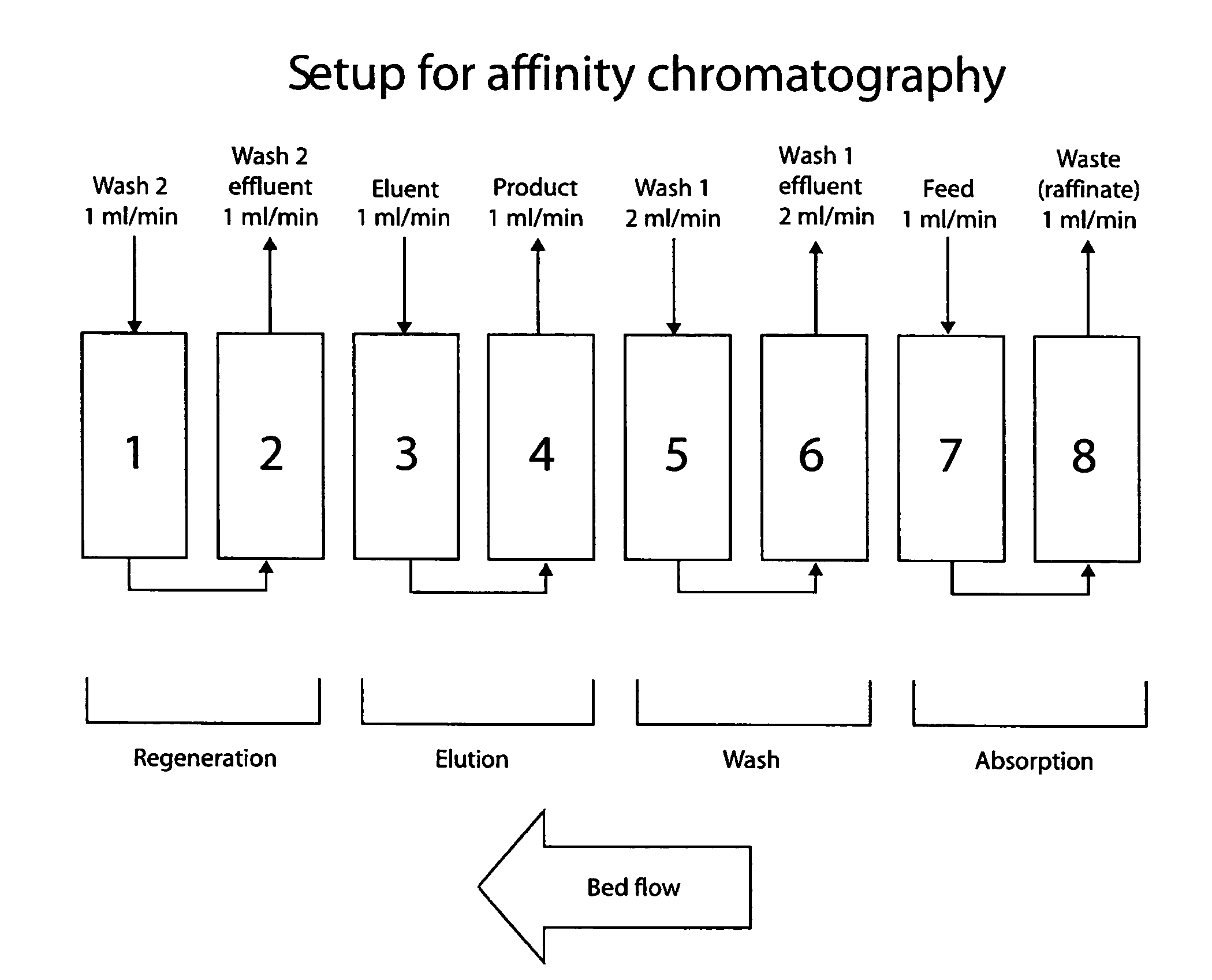 Continuous isocratic affinity chromatography