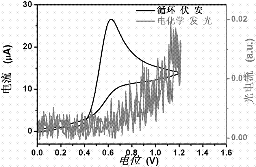 A kind of electrochemiluminescent compound and its application