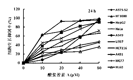 Physalin A extracting process and medical application thereof