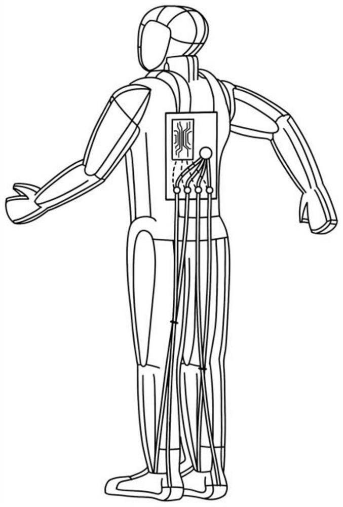 Dynamically adjustable flexible arch-ankle system and control method thereof