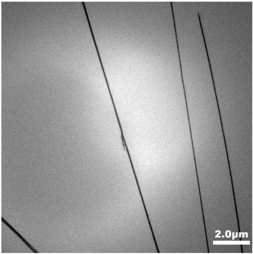 Method for preparing organic-inorganic hybrid perovskite nanowire