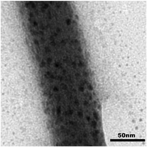 Method for preparing organic-inorganic hybrid perovskite nanowire