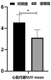 Method for establishing EAM mouse model induced by autoantigen epitope