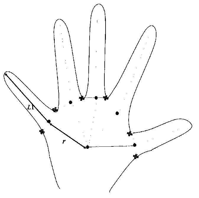 Dynamic gesture recognition system and method