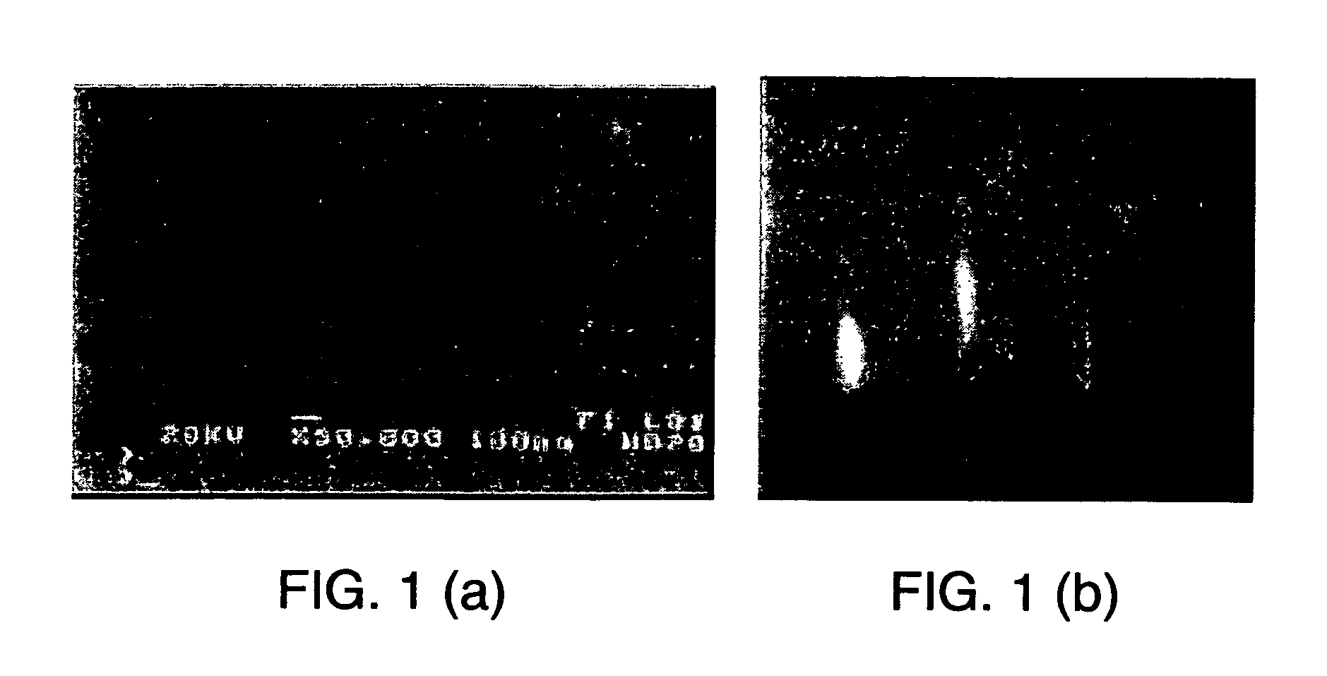 Ultraviolet light emitting AlGaN composition, and ultraviolet light emitting device containing same