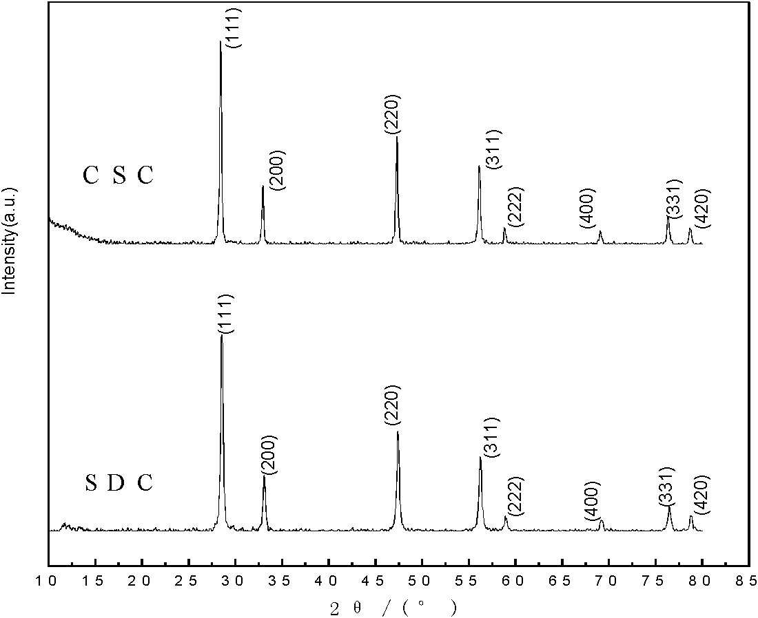 Perovskite Co-based composite negative electrode material as well as preparation and application thereof