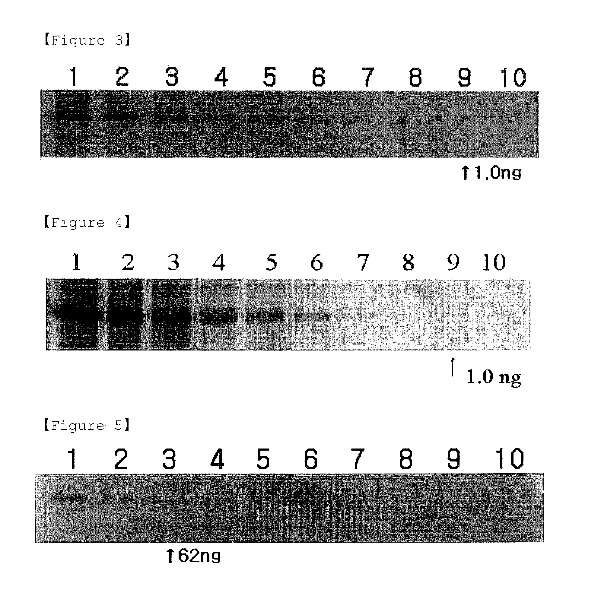 Detection methods of proteins on polyacrylamide gels using gel background staining and organic dye compositions for the same